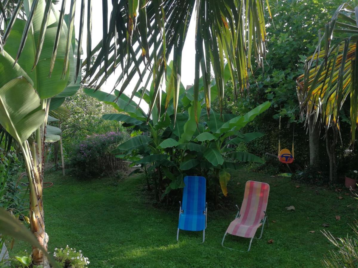 Bed and Breakfast Haus Bienen Иринген Экстерьер фото